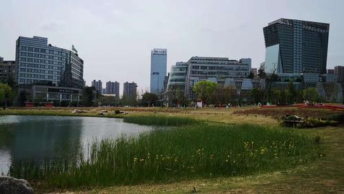 兔子带你看世界之桂溪生态公园:成都人的中央公园