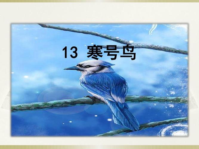 13 寒号鸟ppt
