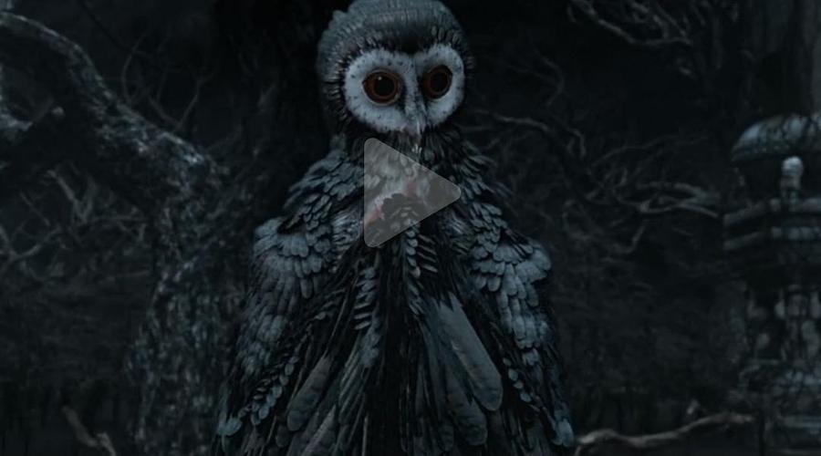 接下来向您走来的是云顶天宫素材包