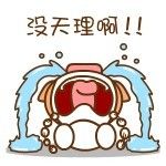 没天理啊! - 滚粗! 帽帽猪表情包_动图表情