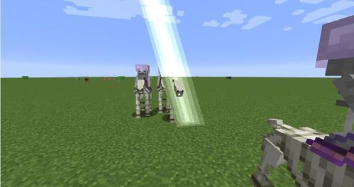 我的世界骷髅陷阱马介绍