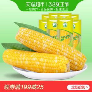 东北农嫂黄糯玉米甜糯玉米棒200g*8支/箱鲜食玉米甜玉米粒代餐