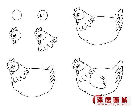 简笔画老母鸡画法:较为复杂的老母鸡线描简笔画教程