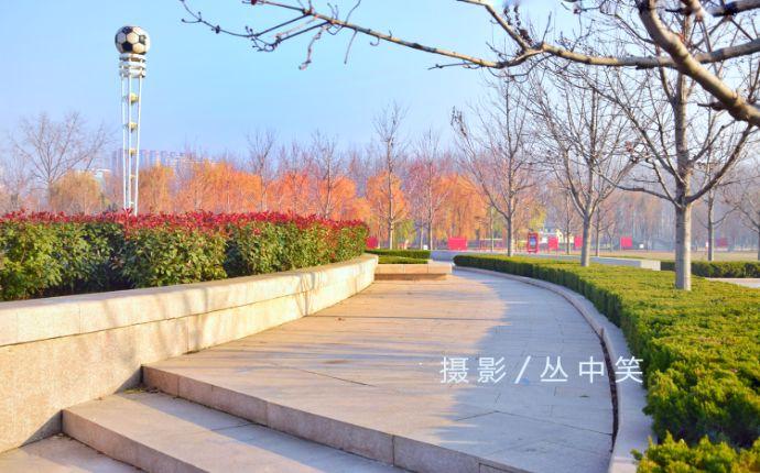 昨日,我行走在罗庄的大道上,漫步在罗庄双月湖公园,护台植物园里,感受