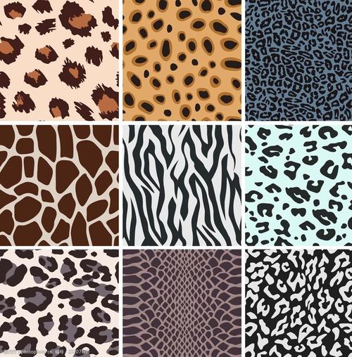 关键词:动物花纹底纹 豹纹 斑马纹 虎纹 底纹 背景 底纹背景大全 设计