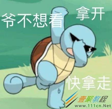 杰尼龟带字憨憨表情包有哪些 杰尼龟带字憨憨表情包分享