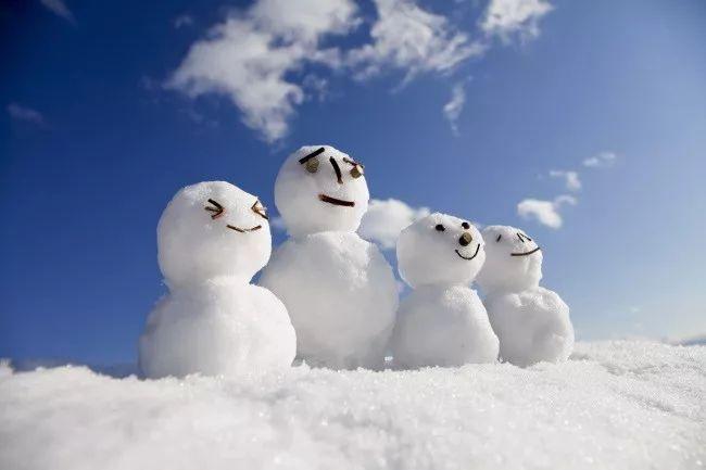 雪球球长大后的图片
