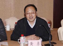 黄勇(交通运输部安全与质量监督管理司副司长)
