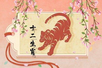 2022年出生的属虎女2022年运气全年好吗