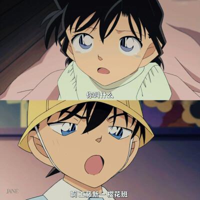 新一 樱花班 壁纸