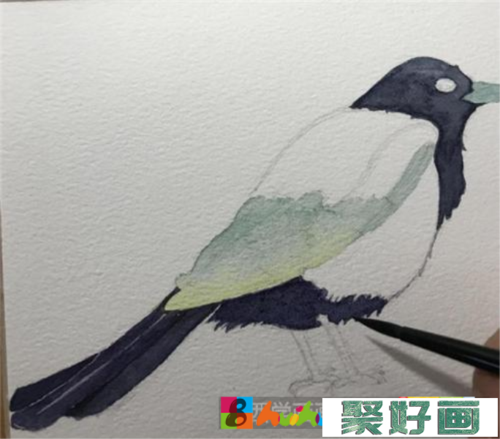 怎样画喜鹊