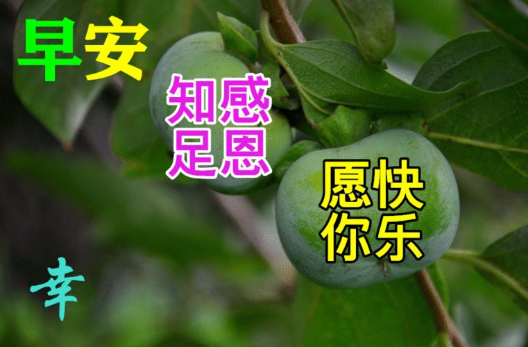 上午好祝福动态图片大全深秋美图大全