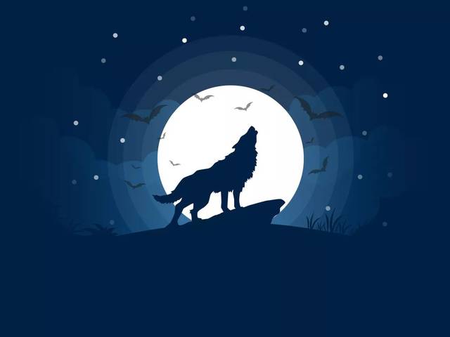 汤神强行蹭热点,森林狼暗夜孤嚎,马尚疯狂暴走