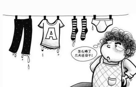 最潮湿的日子"不请自来" 这些防霉防潮妙招不看不行!