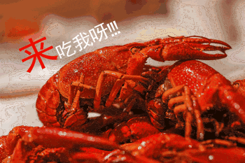 梁大龙虾