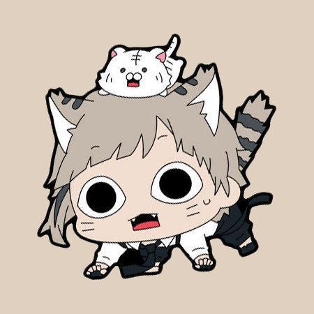 《文豪野犬》一组猫形图片正在袭来,你不觉得他们可爱到炸了吗