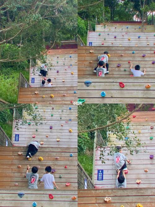 南宁亲子户外乐园|青秀山丛林拓展(新园)