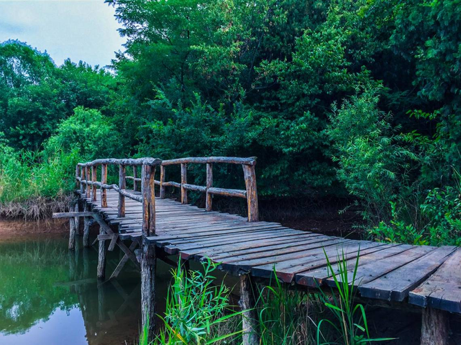 宿迁三台山国家森林公园一日电子门票