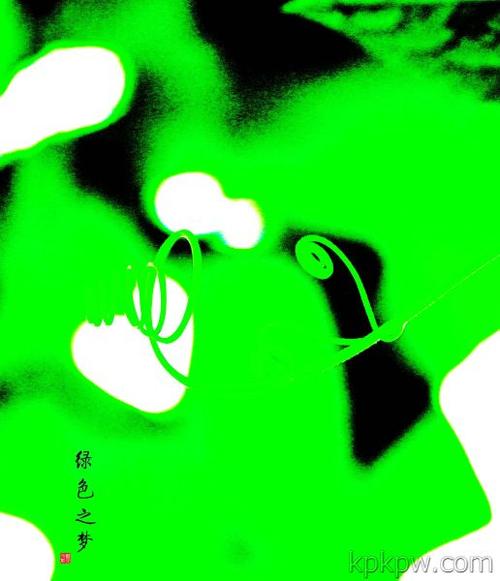 绿色之梦 2011年6月24日摄于自家露台的丝瓜棚上.利用