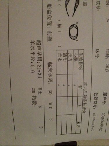 懂羊水指标的lm进来帮我看看~急急急