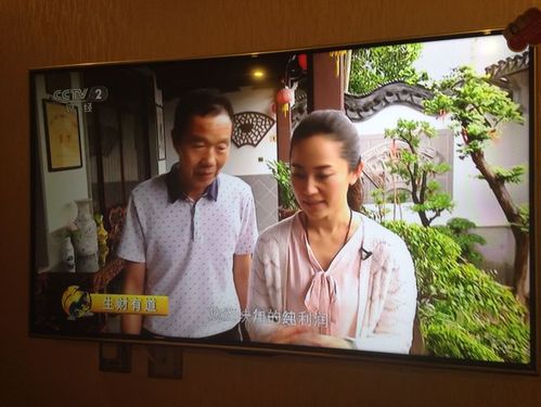 生财有道 张露馨