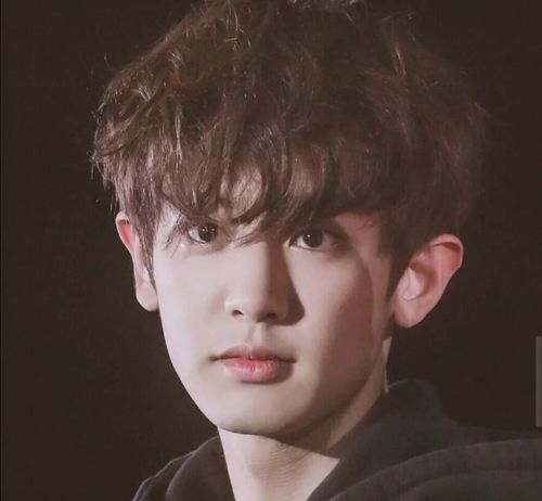 exo朴灿烈
