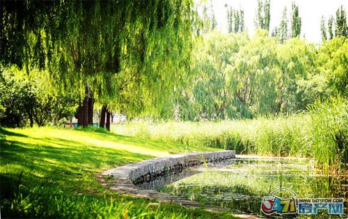 6 / 20 仕奇公园位于呼和浩特市赛罕区,是以绿地和水体为主要区域