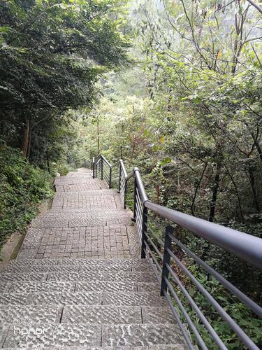 各位亲朋好友:今天早晨我们在安吉凤凰山公园向您问好