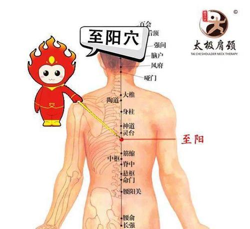 太极肩颈每日一穴||至阳穴: 胸胁胀痛,腹痛黄疸,咳嗽气喘