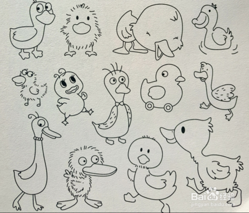 小鸡简笔画鸭