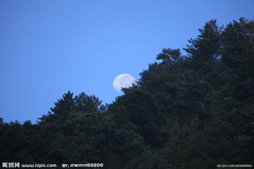 江西五夷山晓月图片