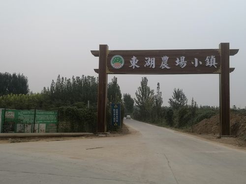 安阳东湖农场小镇景区夜景