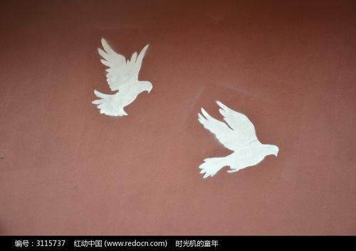 白鸽绘画