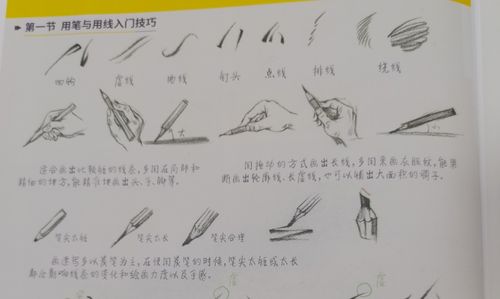 用笔与用线的技巧 难点:中锋与侧锋的表达 工具:软碳 削笔器 速写纸