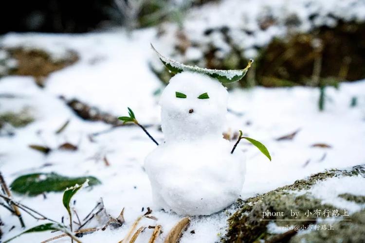 是的,不要怀疑!闽南真的下雪了!德化九仙山邂逅雪景!
