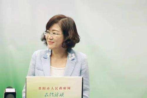 在线访谈:权威解读2016数博会!