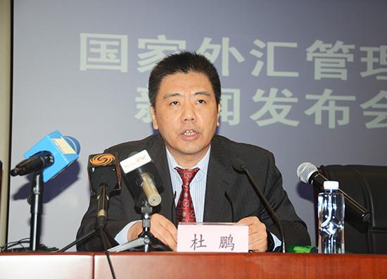 经常项目管理司司长杜鹏答记者问(人民网章斐然 摄)