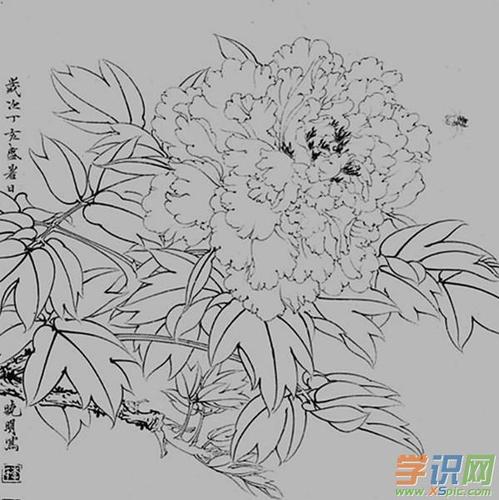 牡丹工笔画白描底稿图片