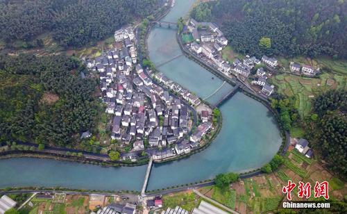 浙江省大下姜联合体激发乡村振兴活力