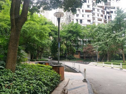 龙湖春森彼岸(1期)