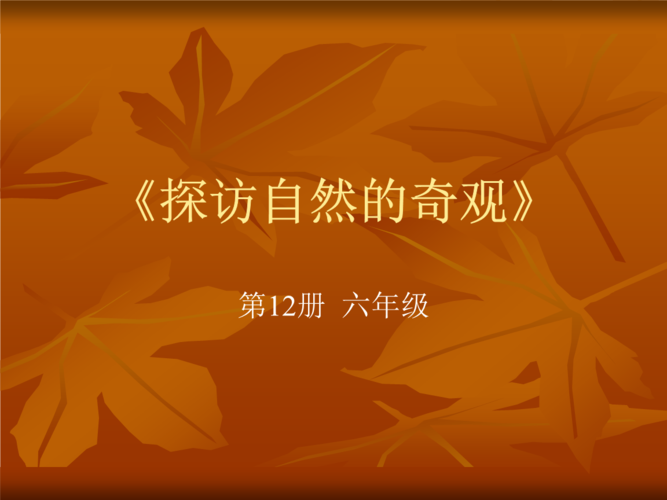 小学五年级美术探访自然的奇观.ppt