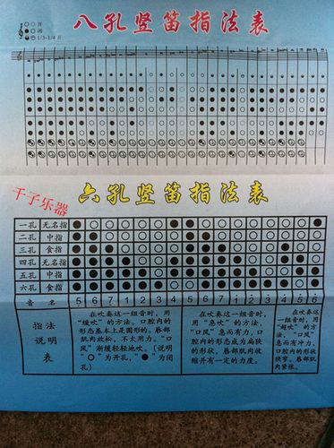 包邮 正品天鹅透明竖笛 6孔 8孔竖笛 六孔 八孔竖笛
