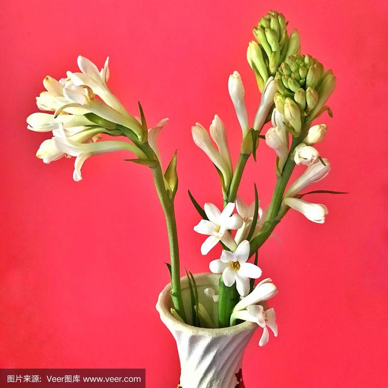 花瓶,晚香玉,花束,白色,芳香的