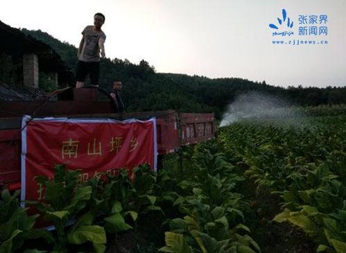 慈利县南山坪乡吹响抗旱"集结号"