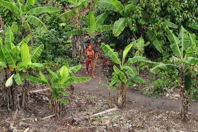 国际生存组织公布秘鲁亚马逊雨林发现新的原始部落