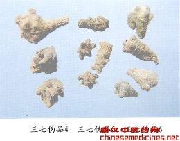 唐汉三七_唐汉中医药网(th55.cn)