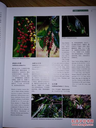 正版包邮:中国高等植物彩色图鉴(全套9册)