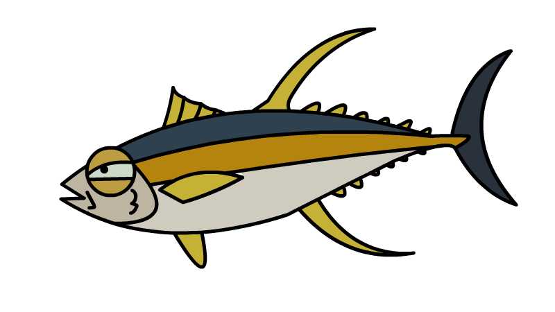 黄鳍金枪鱼简笔画 黄鳍金枪鱼简笔画怎么画