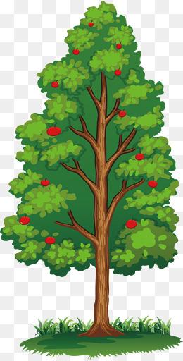 果园里的苹果树