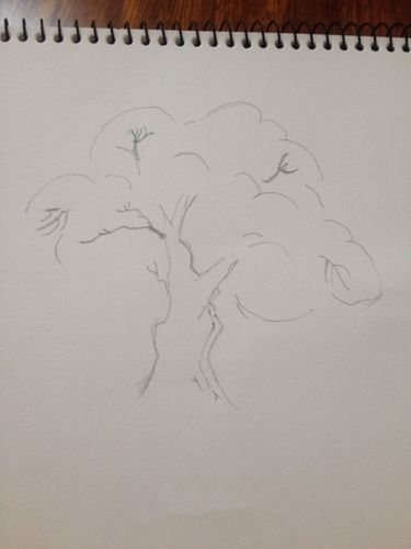 第1步:制作步骤:橡皮炭笔铅笔所需工具:画纸主要材料